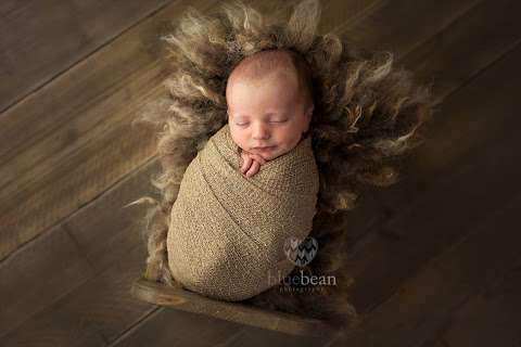 Blue Bean Newborn Baby Photography photo